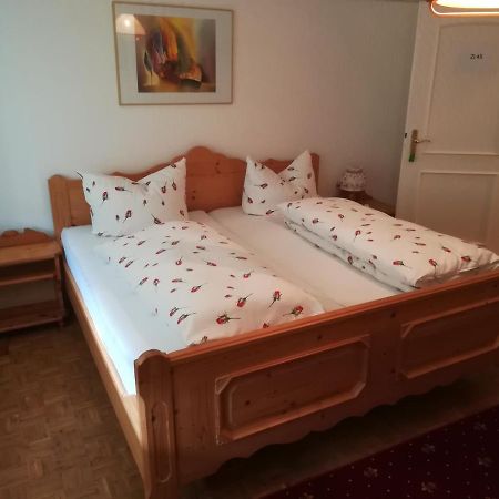 Gladenbach Apartment Froschkoenig מראה חיצוני תמונה